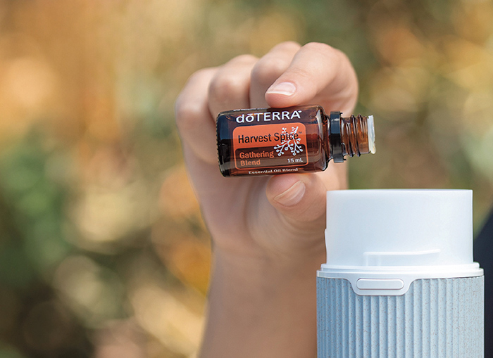 Harvest Spice Oil and Pilot Diffuser Image