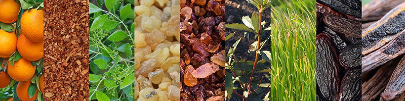 Hygge Ingredients Image