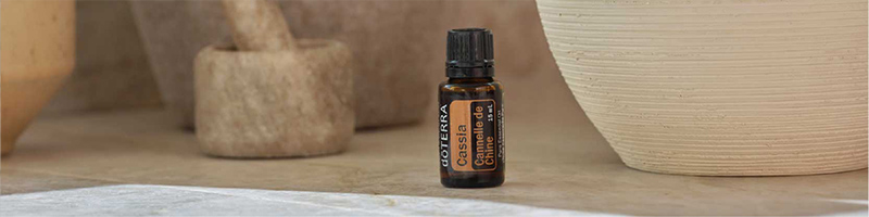 Cassia Oil 15mL Desktop