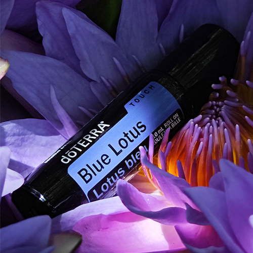 Blue Lotus Uses and Benefits | doTERRA Essential Oils