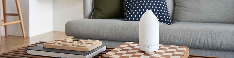 Vanilla Chai Blend with Laluz Diffuser - Laluz Diffuser Desktop