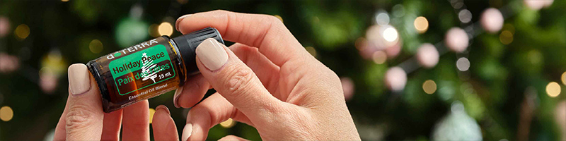 Holiday Peace Desktop