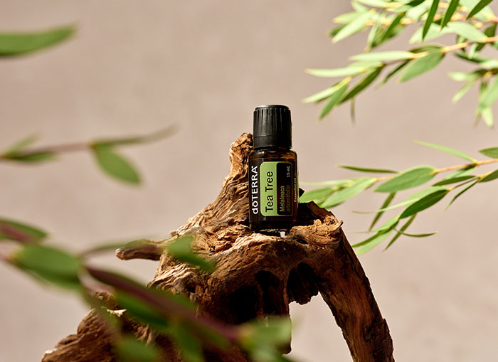 Bottle of Tea Tree Oil