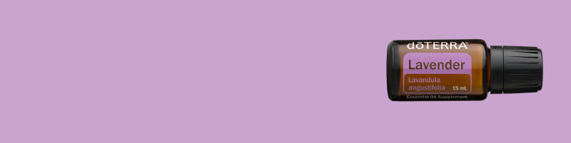 800x200-intro-kit-lavender-ingredient.jpg