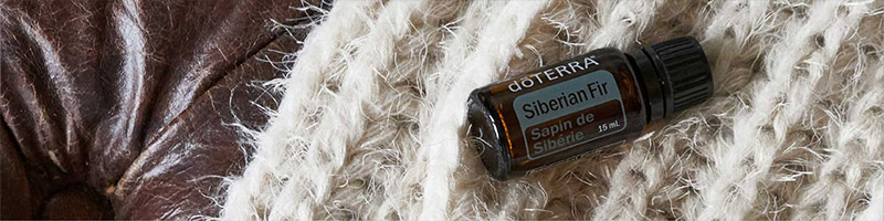 Siberian Fir 15mL Desktop