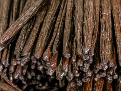 Vanilla Beans