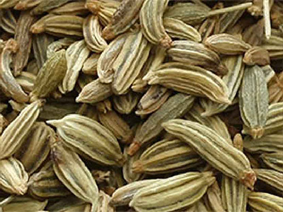 Fennel Oil - ZenGest Oil Blend Ingredients List Mobile