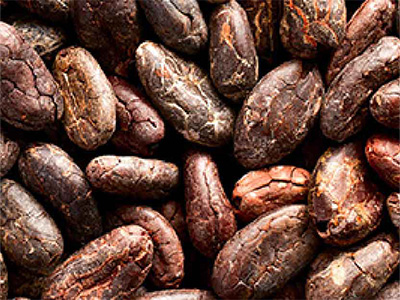 Whisper Touch Oil Ingredients - Cocoa Seed Oil Mobile