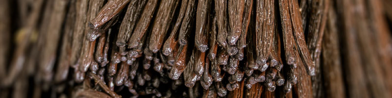 Vanilla Beans