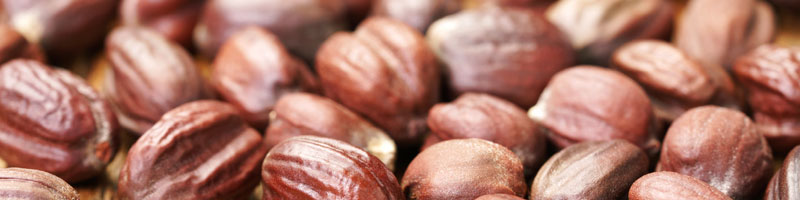 Jojoba seed