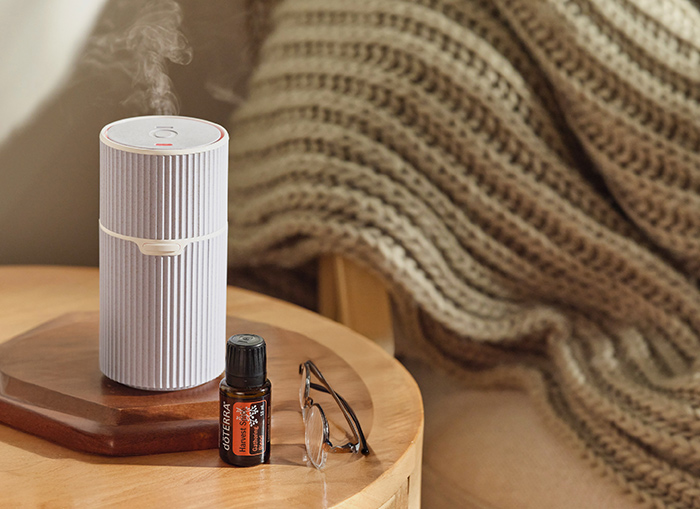 Harvest Spice Oil and Pilo Diffuser Image