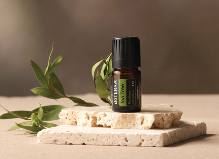 700x509-tea-tree-may-2026.jpg