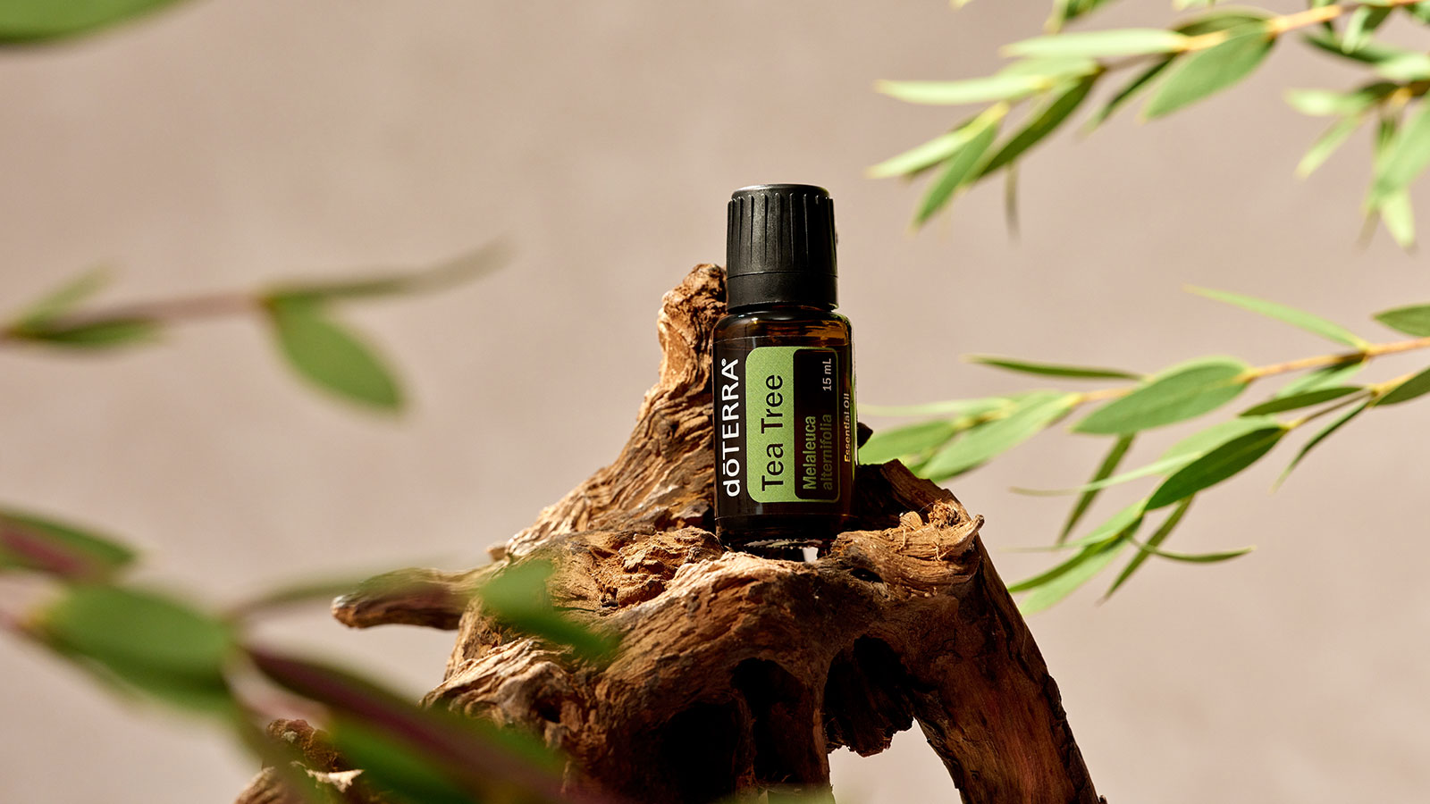 Bottle of Tea Tree oil
