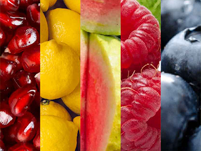 Fruits - VMG Ingredients Mobile