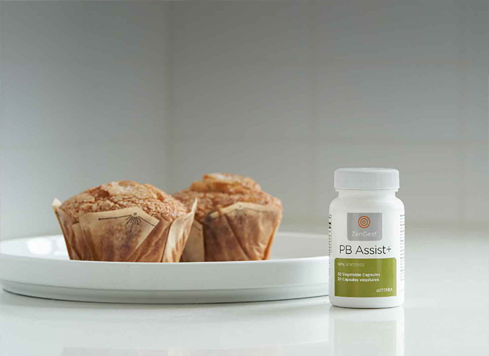 PB Assist NHP Header Mobile