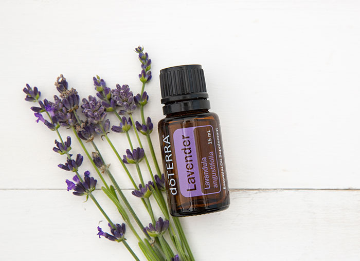 Bottle of lavender oil and plant