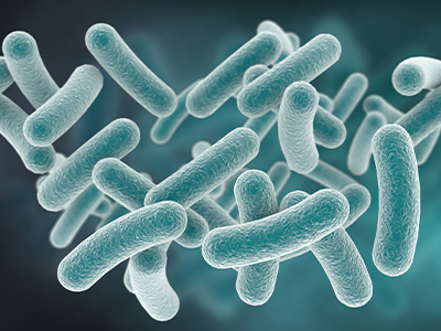 Medicinal Ingredients - PB Assist NHP Ingredients Mobile