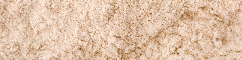 Medicinal Ingredients - TerraZyme NHP Ingredients Desktop