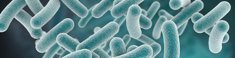 Medicinal Ingredients - PB Assist NHP Ingredients Desktop