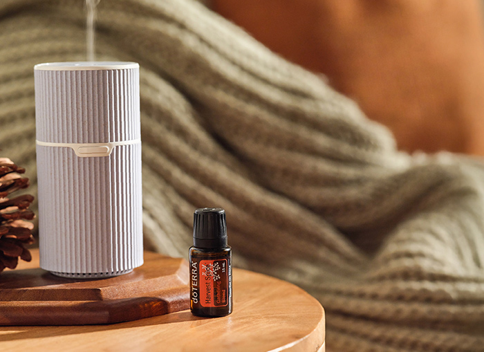 Harvest Spice Oil and Pilot Diffuser Image
