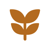 Cassia Oil Right Icon