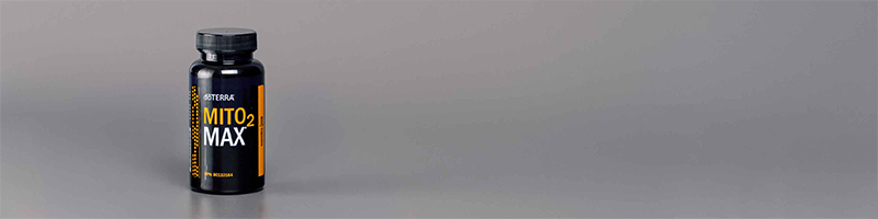 Mito2Max 90 Day Reset Month 1 Collection Content Desktop