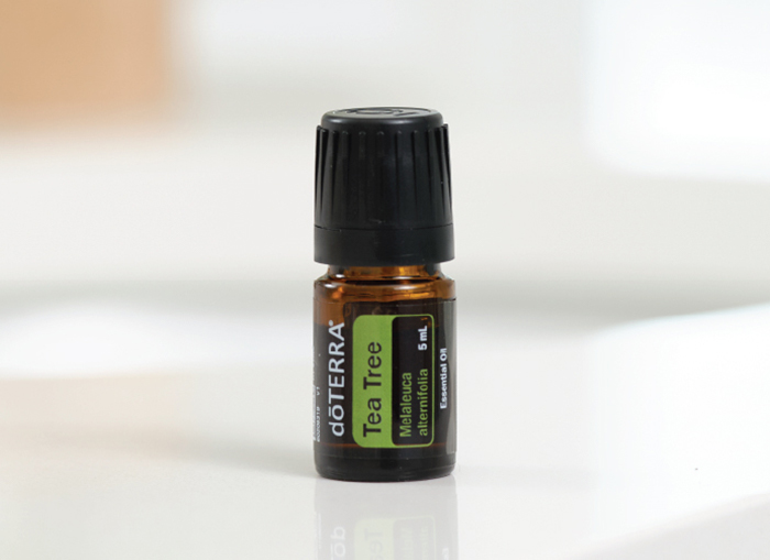 Tea Tree Oil Image