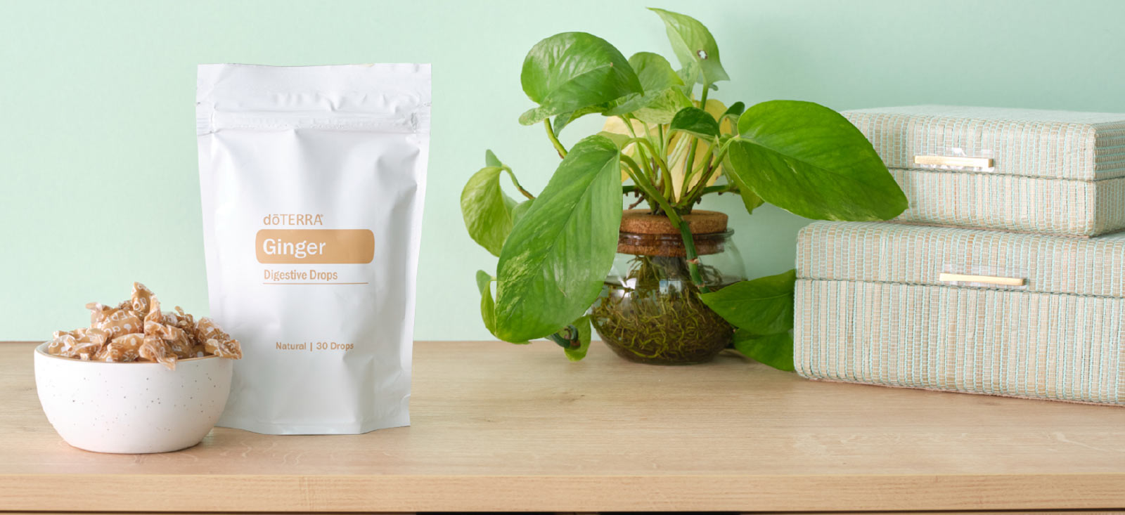 doTERRA Ginger drops Image