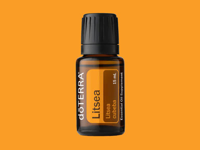 Litsea Essential Oil
