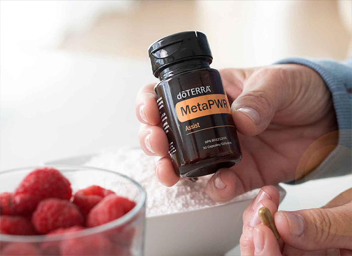 MetaPWR Assist Uses Mobile