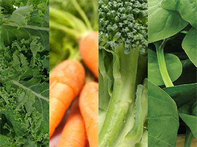 Vegetables - VMG Ingredients Mobile