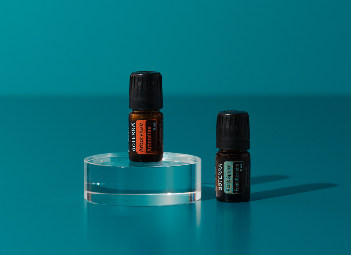Black Spruce and Arborvitae