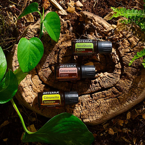 Support Outdoor Adventures Naturally | doTERRA Essential Oils