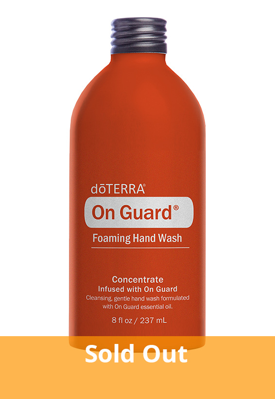on guard foaming hand wash concrentrate