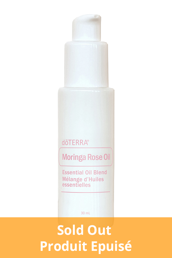 Moringa Rose Oil | doTERRA Essential Oils