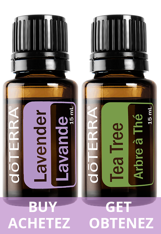 Lavender Essential Oil