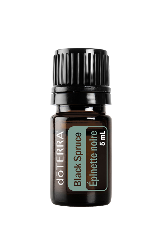 Black Spruce Essential Oil