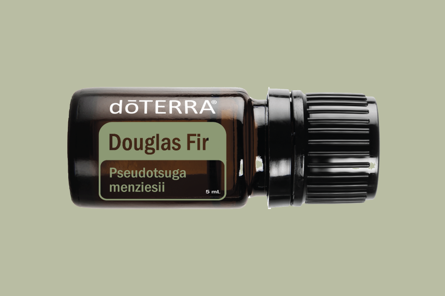 Douglas Fir Essential Oil | doTERRA Essential Oils
