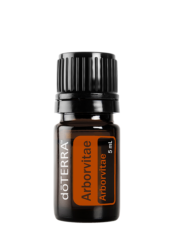 Huile d'arborvitae