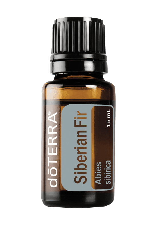 Siberian Fir Essential Oil