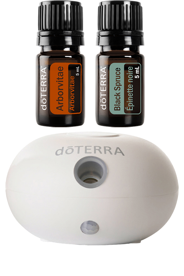 Bubble Salt Diffuser + Arborvitae 5 mL & Black Spruce 5 mL
