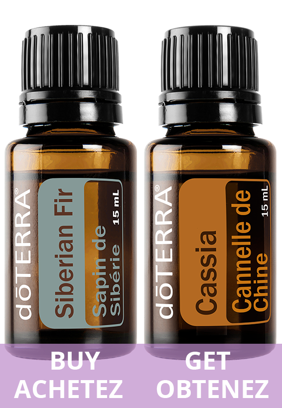 Huile de sapin de sibérie