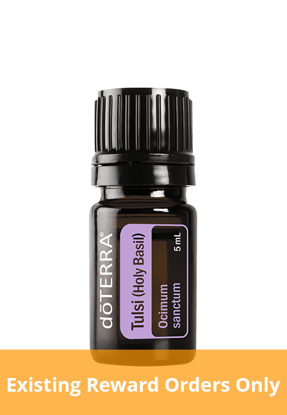 Tulsi (Holy Basil) Oil