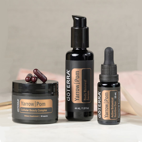 Episode 231: Utilizing Yarrow|Pom and the Incredible Fennel