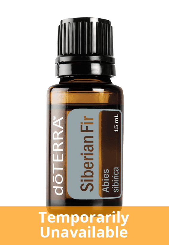 Siberian Fir Essential Oil