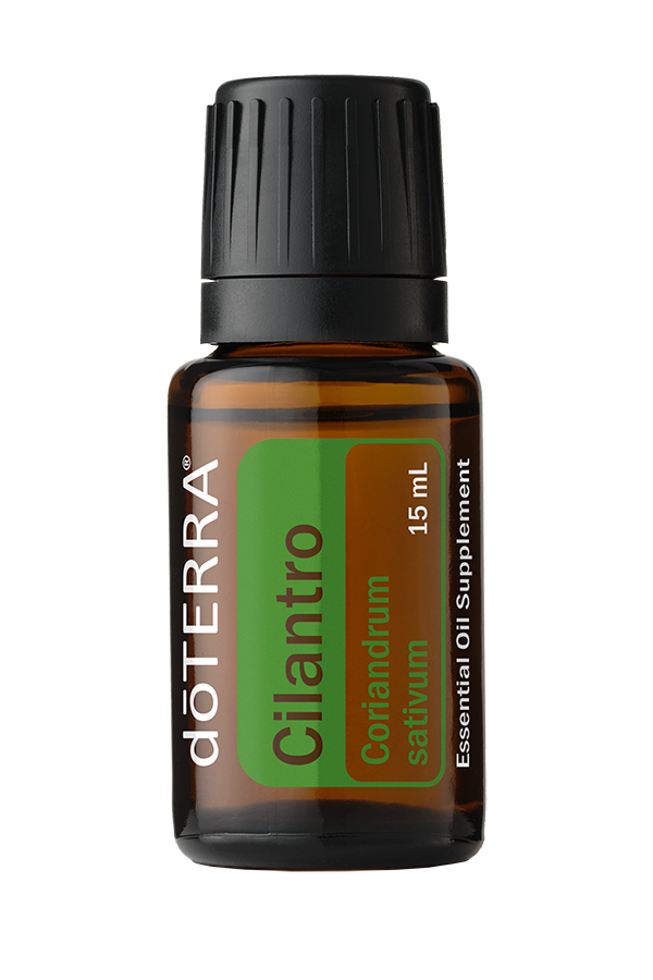 Cilantro Essential Oil