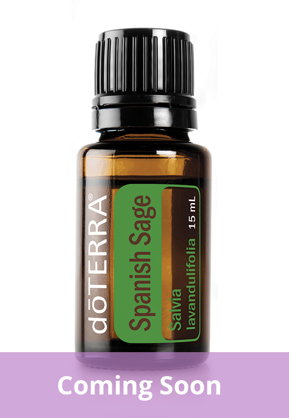 Spanish Sage Oil dōTERRA Essential Oils