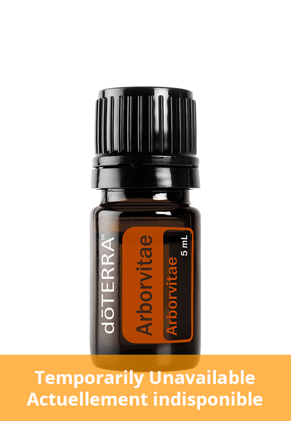 Arborvitae Essential Oil