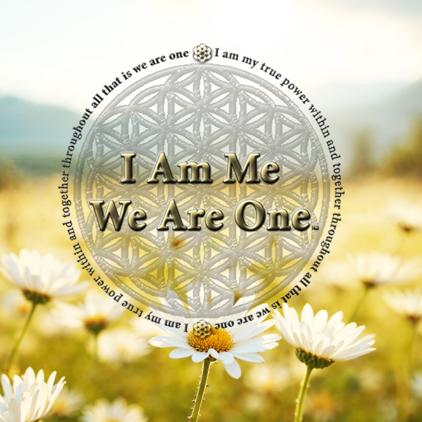 Jill Terashita profile picture