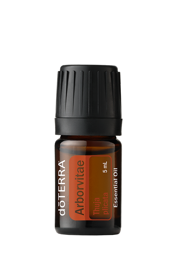 Arborvitae Essential Oil